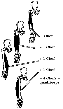 4chefs.gif (3604 octets)